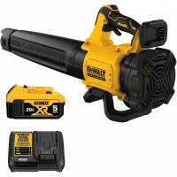 DEWALT DCBL722P1