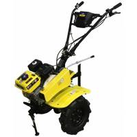 Mateus MS14302