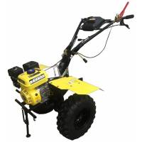 Mateus MS14303